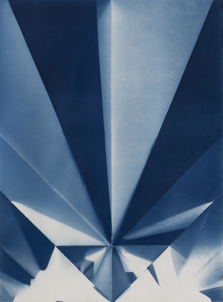 http://www.lailasvensgaard.com/files/gimgs/th-68_Blueprint_3_V-Wingmain.jpg